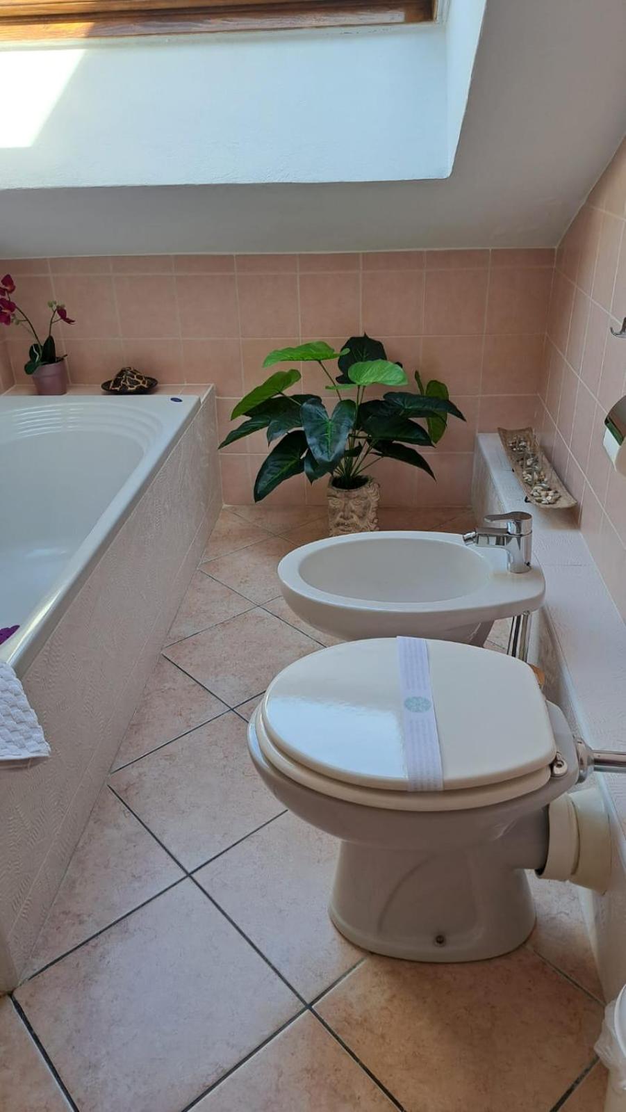 Апартаменты Casa Paola - Stazione 400 Mt - Free Wifi Аркоре Экстерьер фото